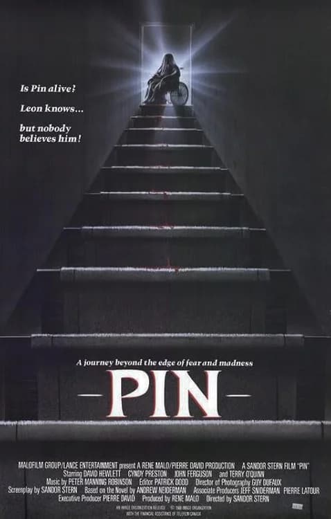 Pin film posteri