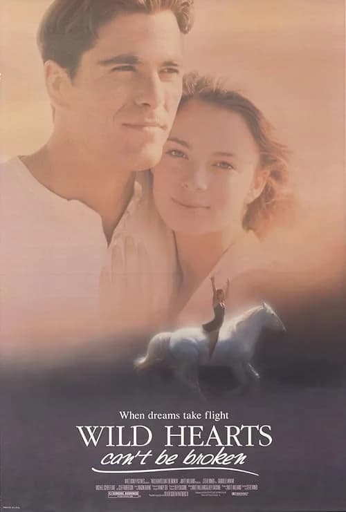 Wild Hearts Can't Be Broken film posteri